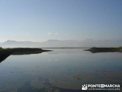 Marismas de Santoña (visita Ornitológica); grupos camino de santiago